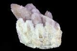 Cactus Quartz (Amethyst) Cluster - South Africa #80012-2